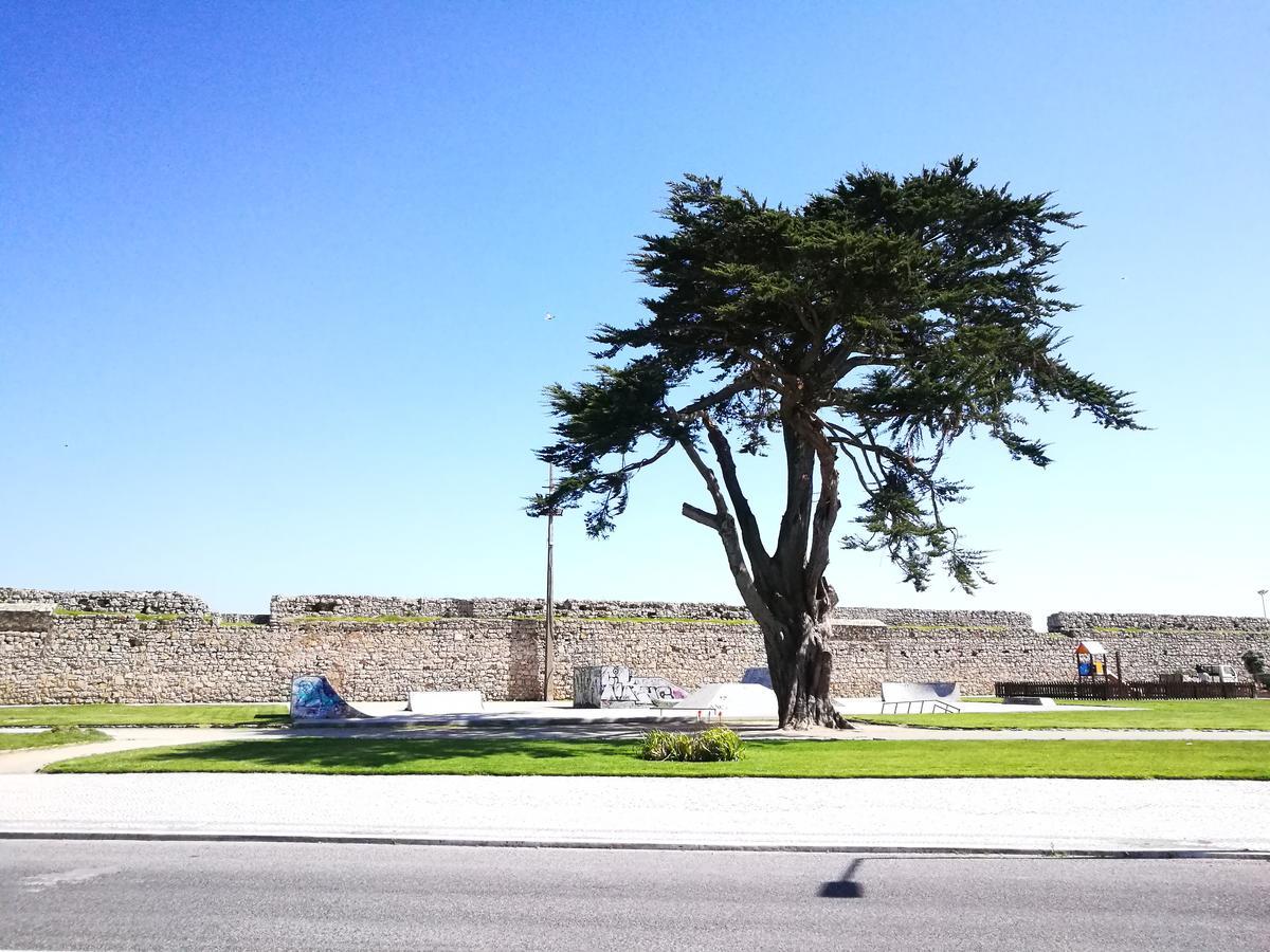 Peniche'S Blue & White Apartment Bagian luar foto